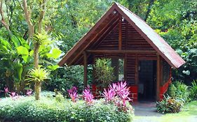 Arenal Oasis Eco Lodge & Wildlife Refuge